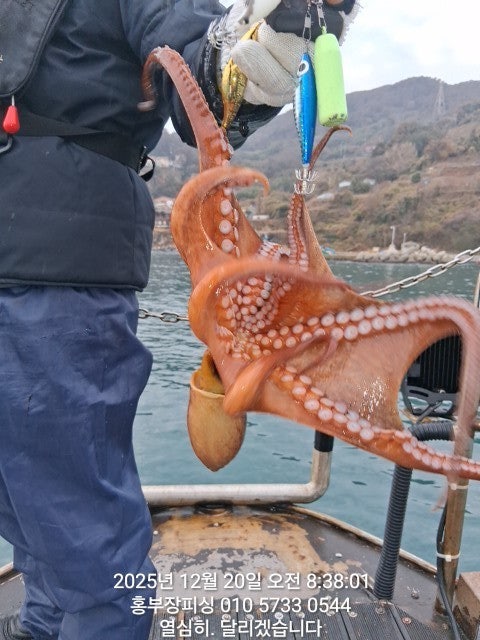 ����ڰ� �ø� �̹���