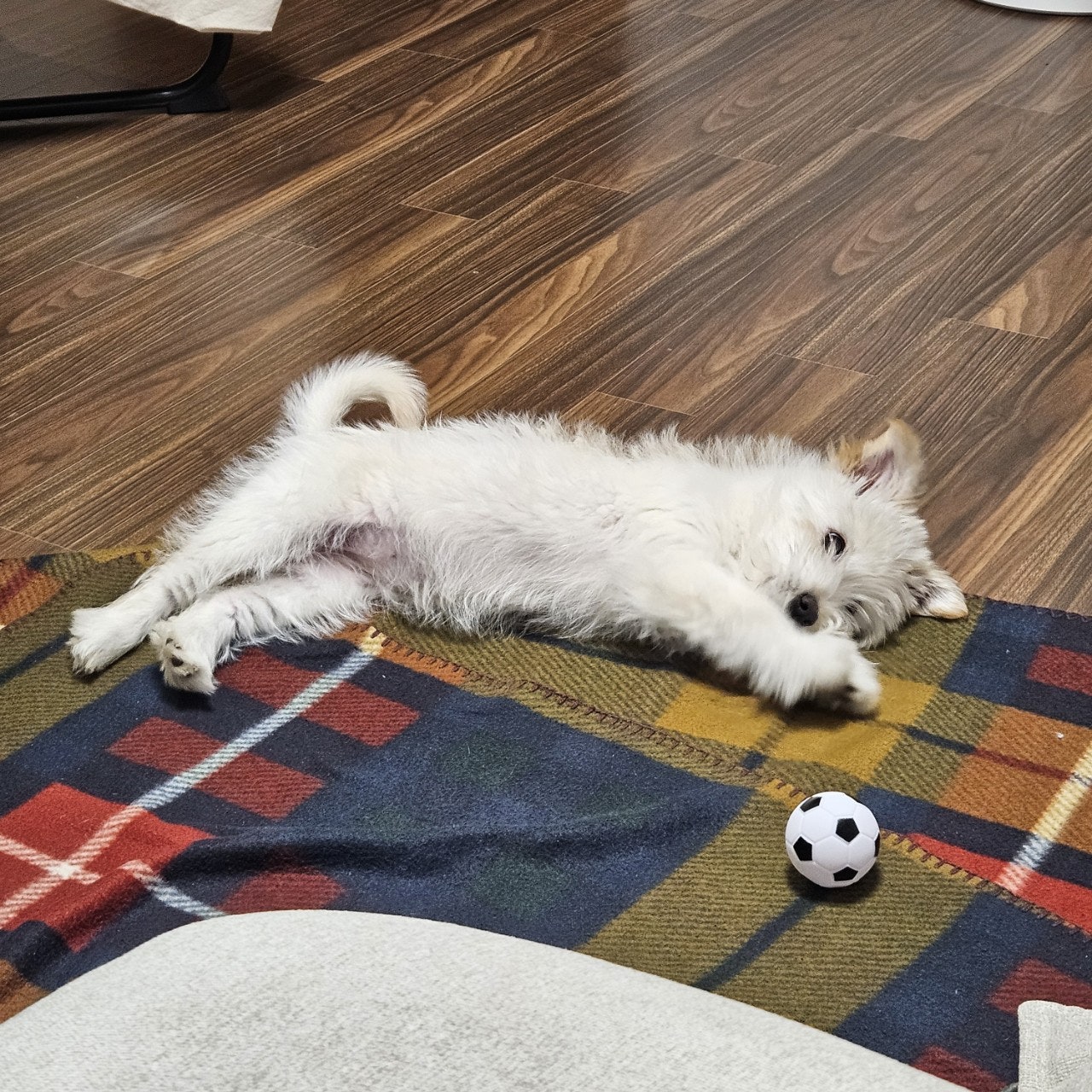 사용자가 올린 이미지