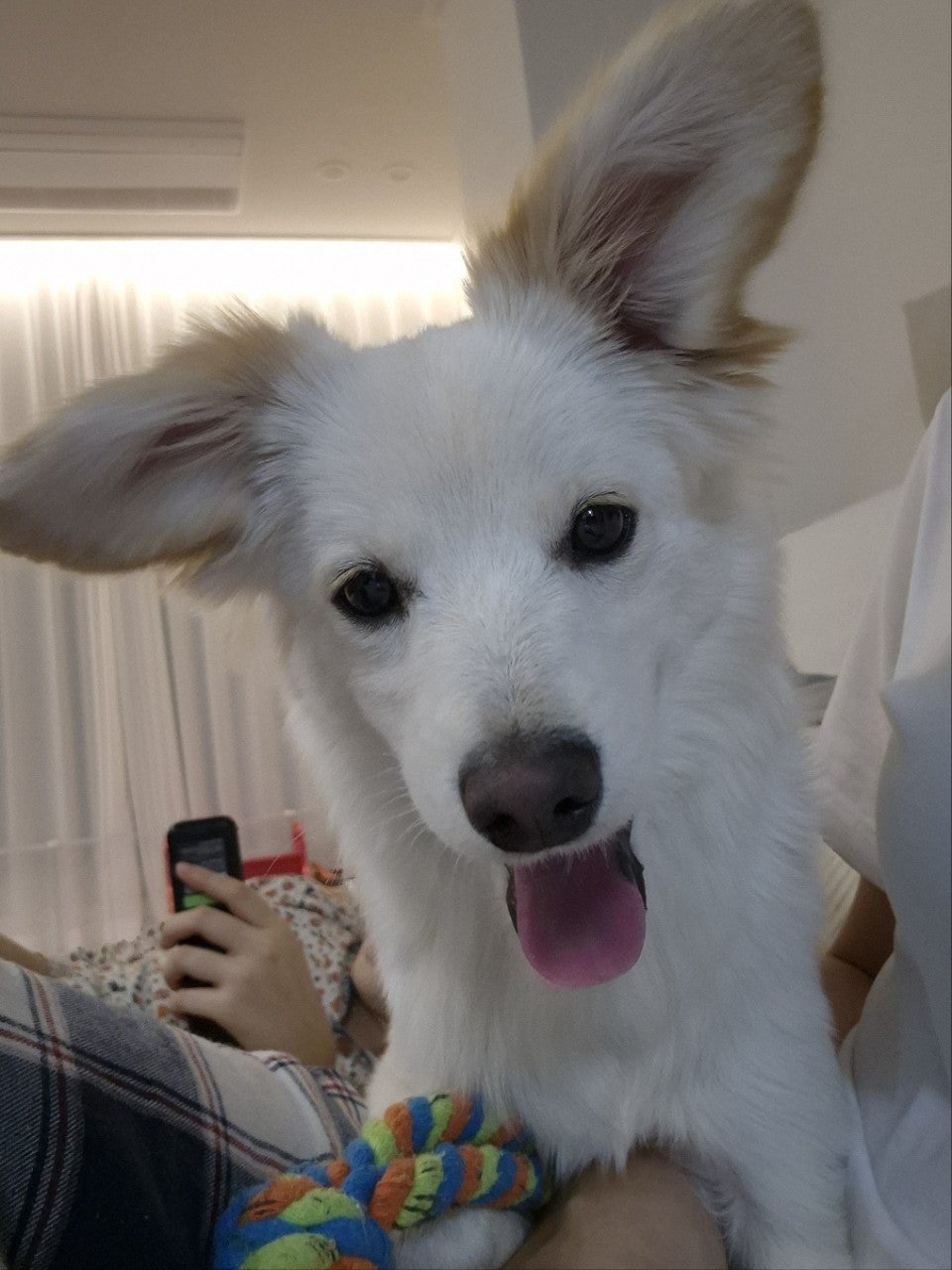 사용자가 올린 이미지