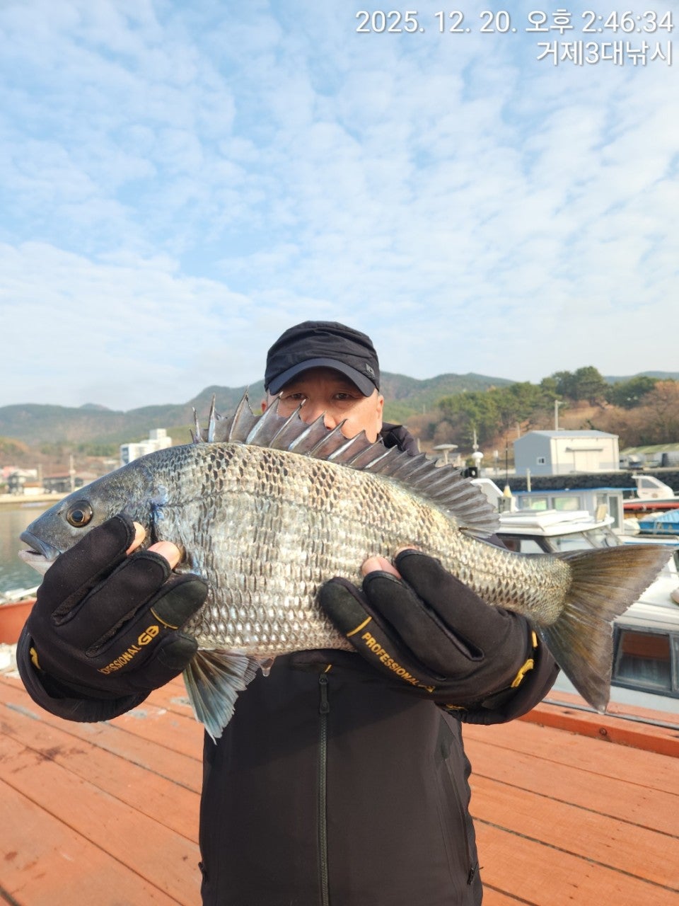 사용자가 올린 이미지