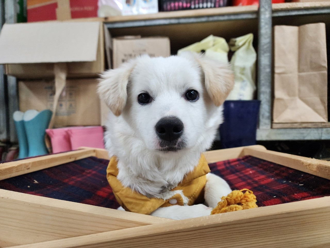 사용자가 올린 이미지