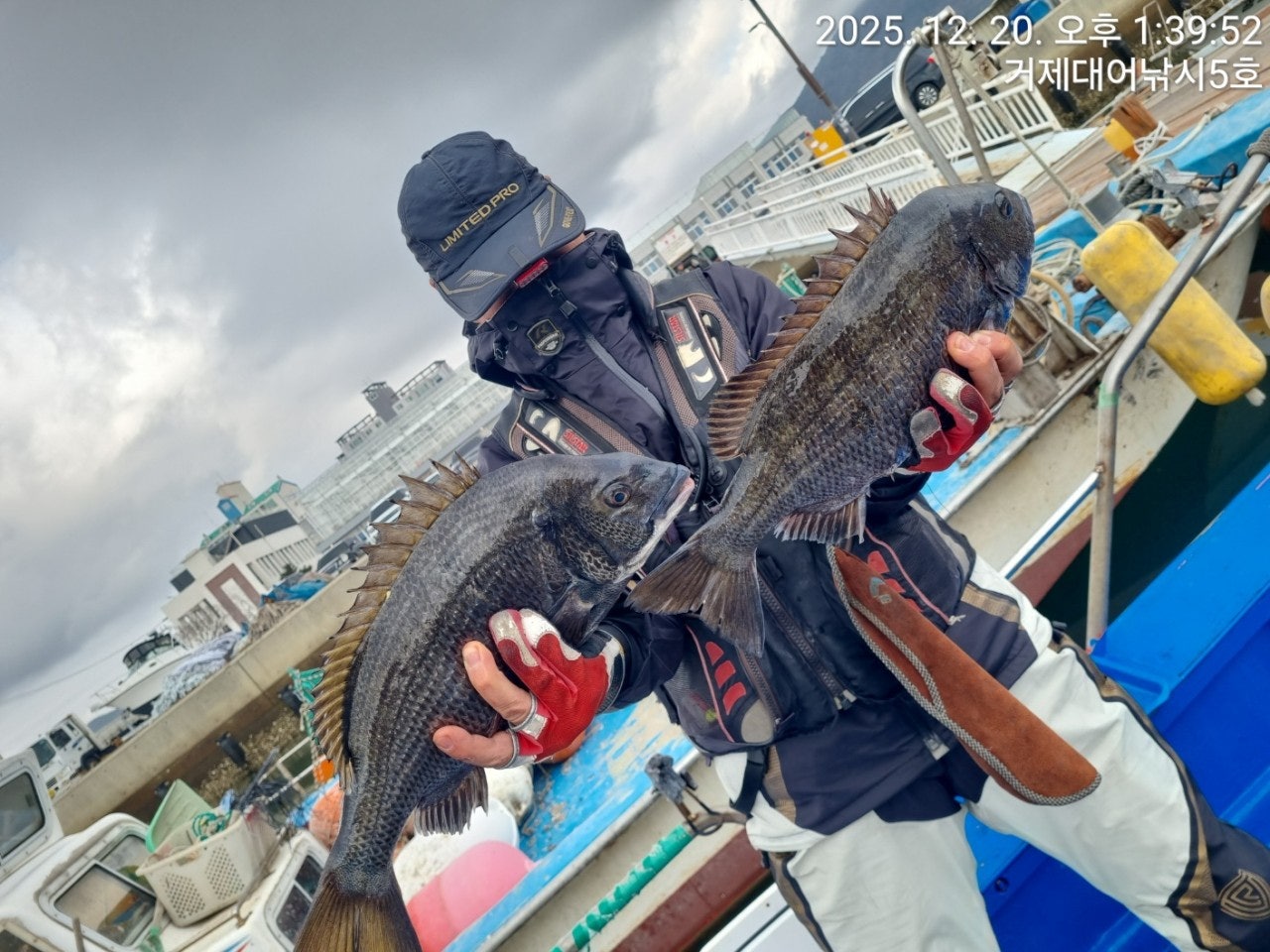 사용자가 올린 이미지