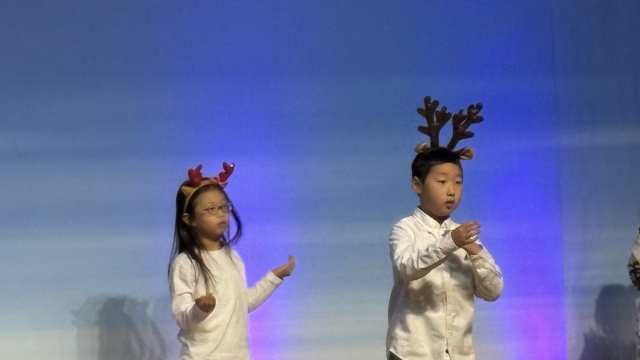 ����ڰ� �ø� �̹���