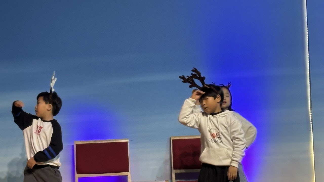 ����ڰ� �ø� �̹���