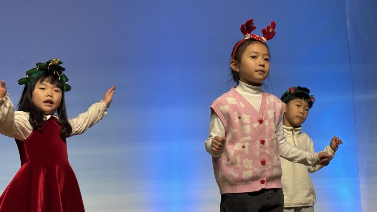 ����ڰ� �ø� �̹���