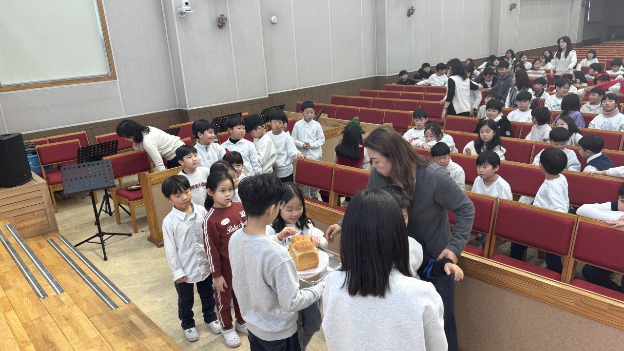 ����ڰ� �ø� �̹���