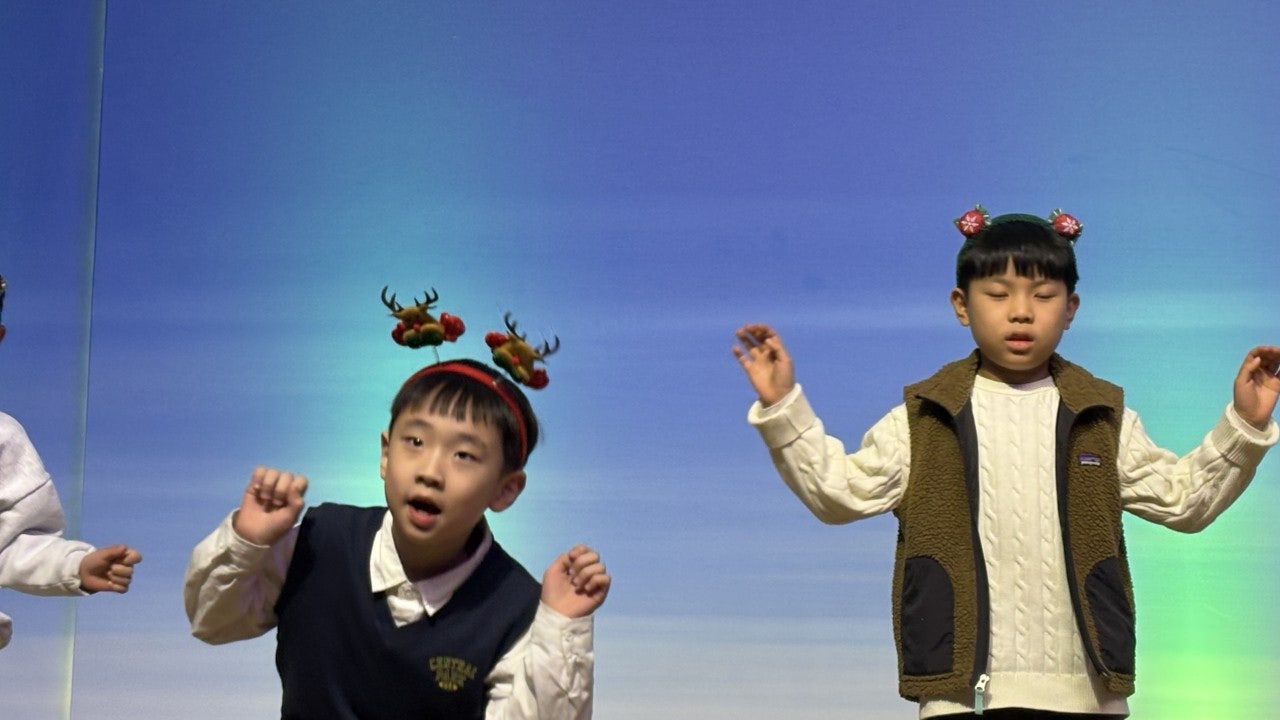 ����ڰ� �ø� �̹���