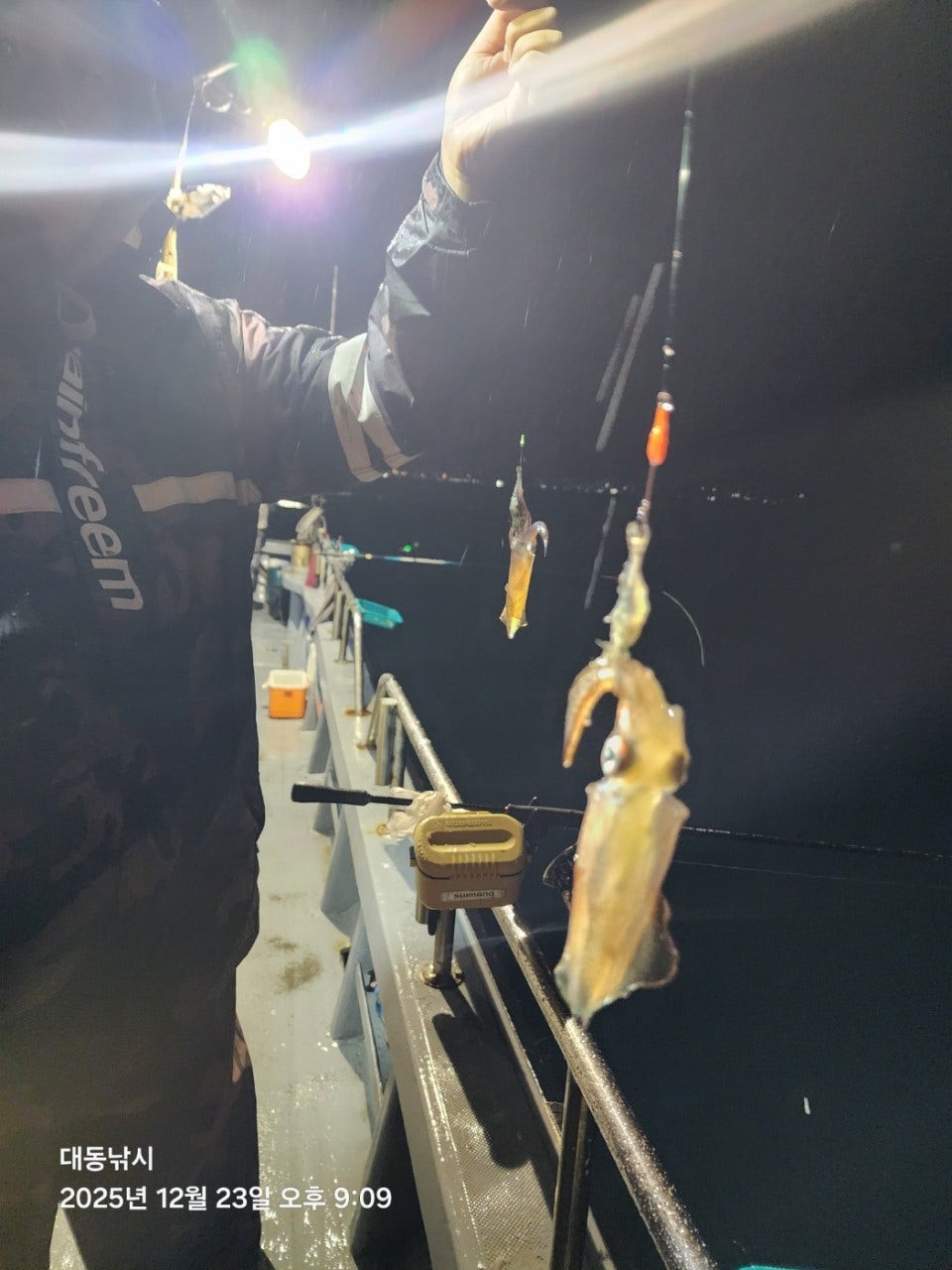 사용자가 올린 이미지