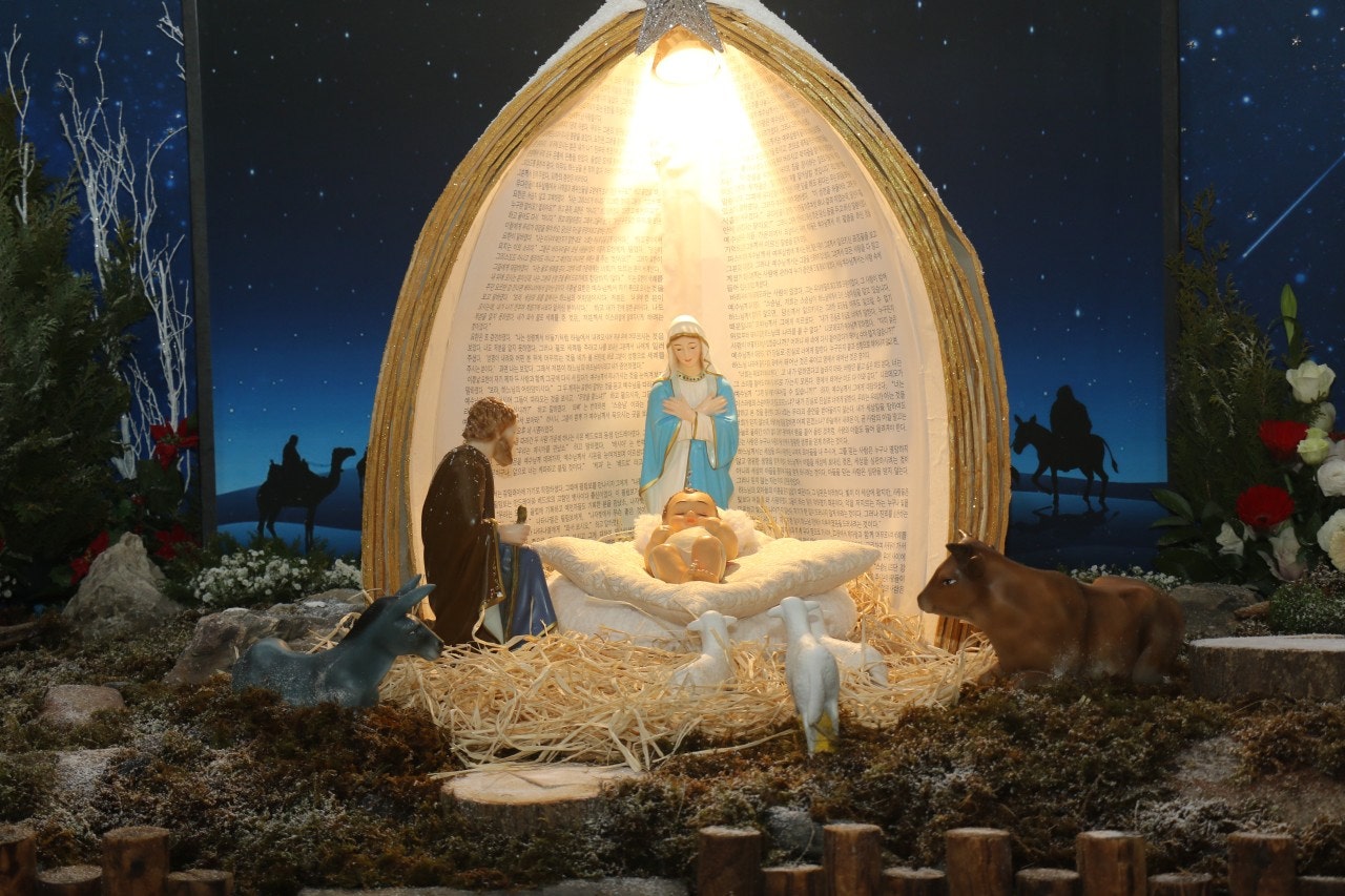 사용자가 올린 이미지