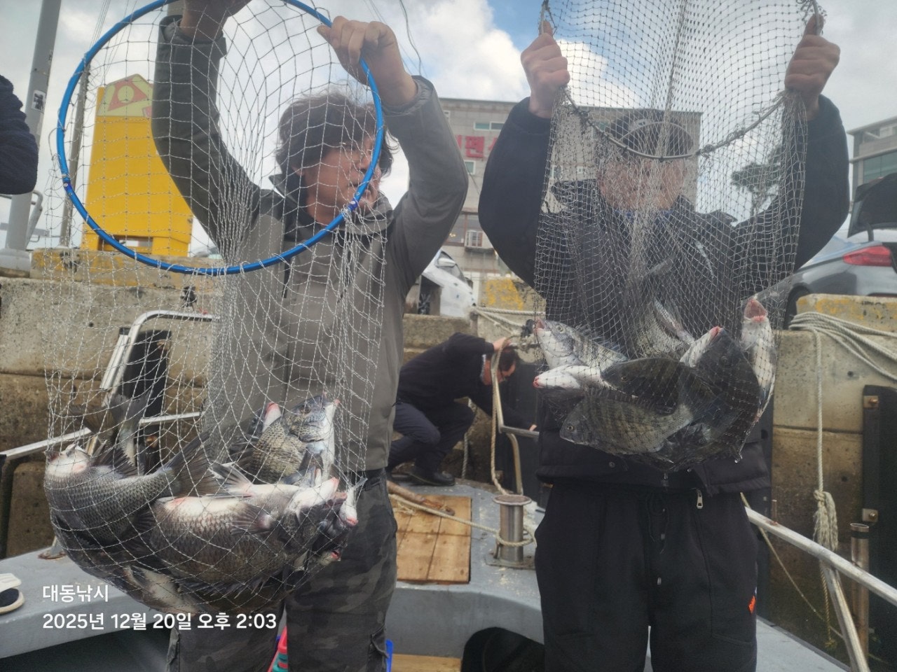 사용자가 올린 이미지