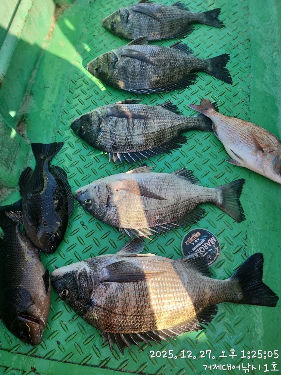 사용자가 올린 이미지