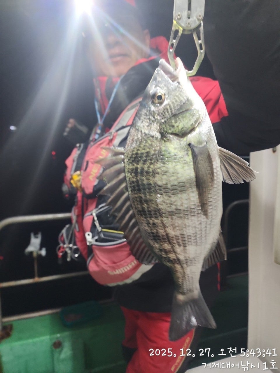 사용자가 올린 이미지