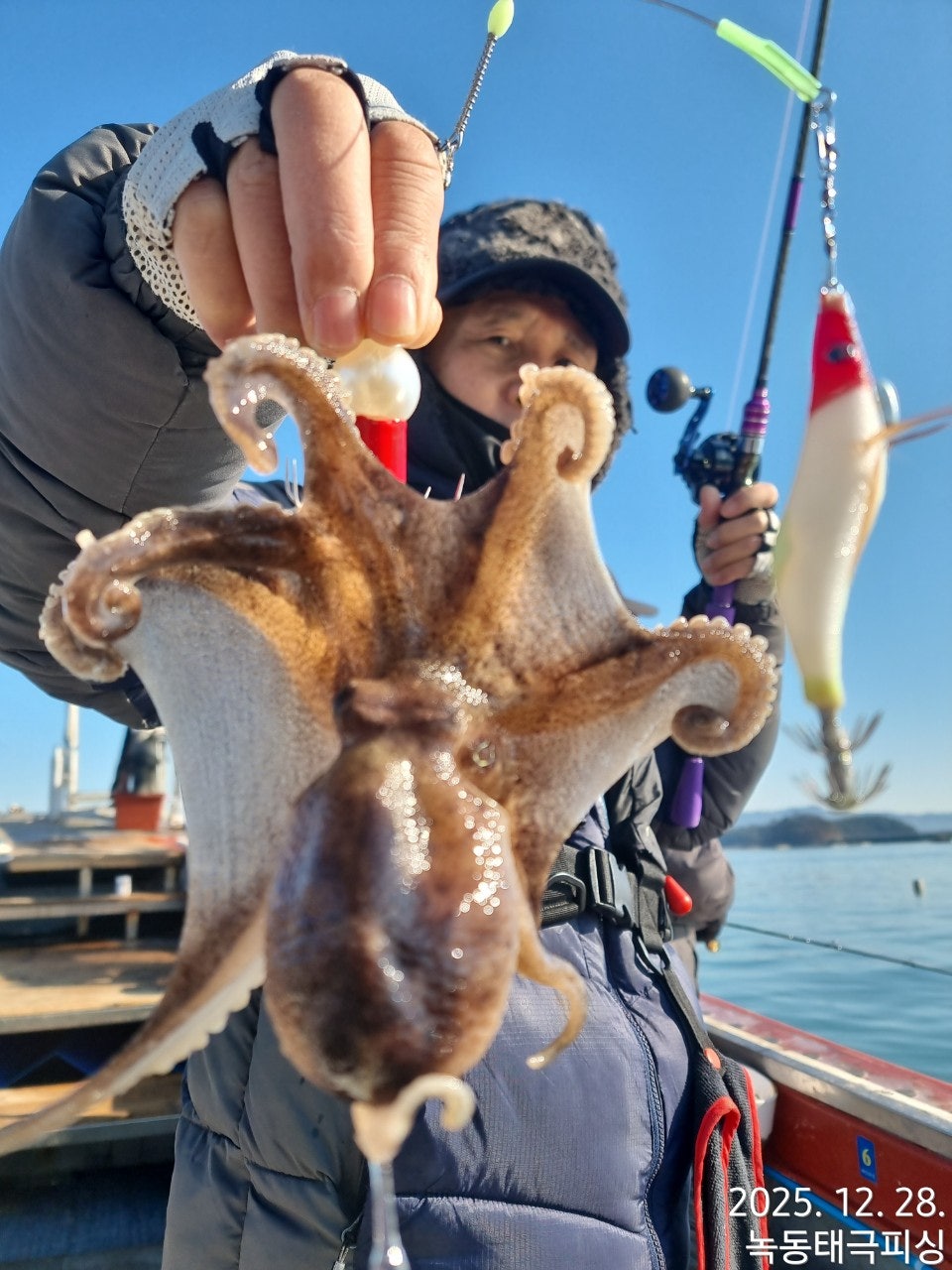 사용자가 올린 이미지