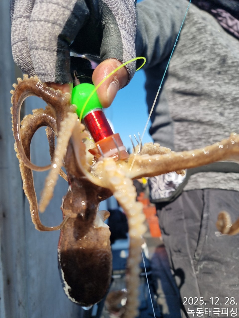 사용자가 올린 이미지