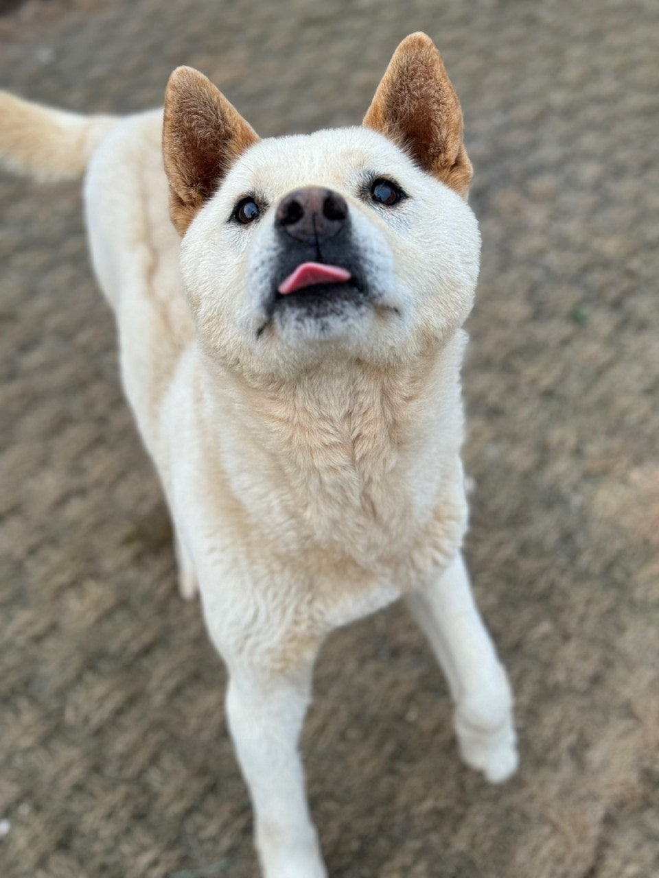 사용자가 올린 이미지