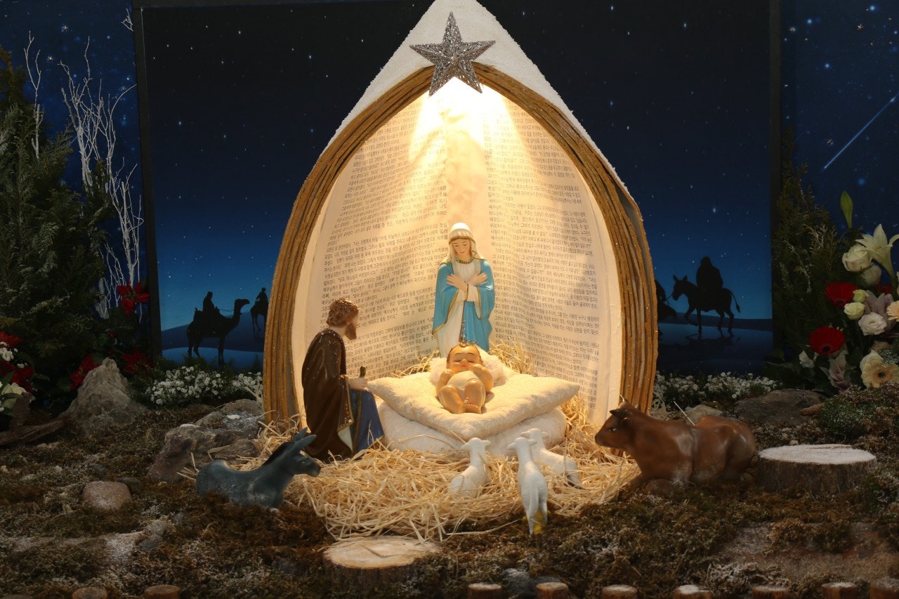 사용자가 올린 이미지