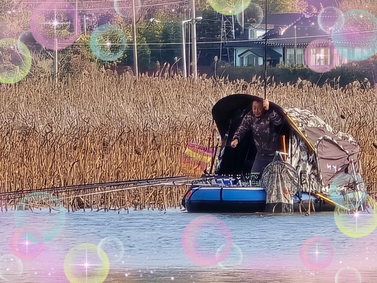 사용자가 올린 이미지