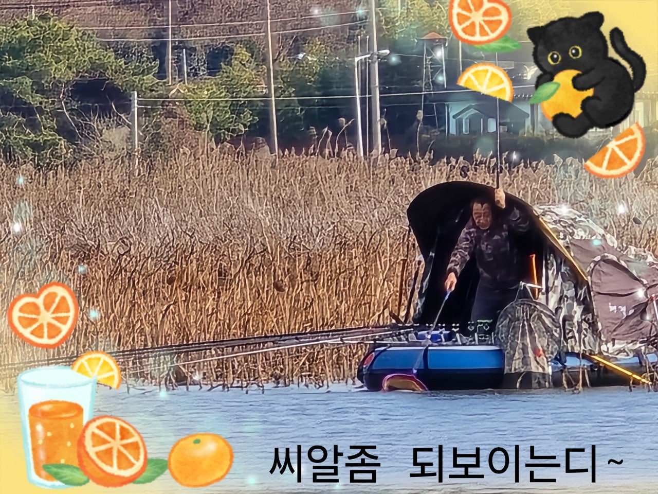 사용자가 올린 이미지