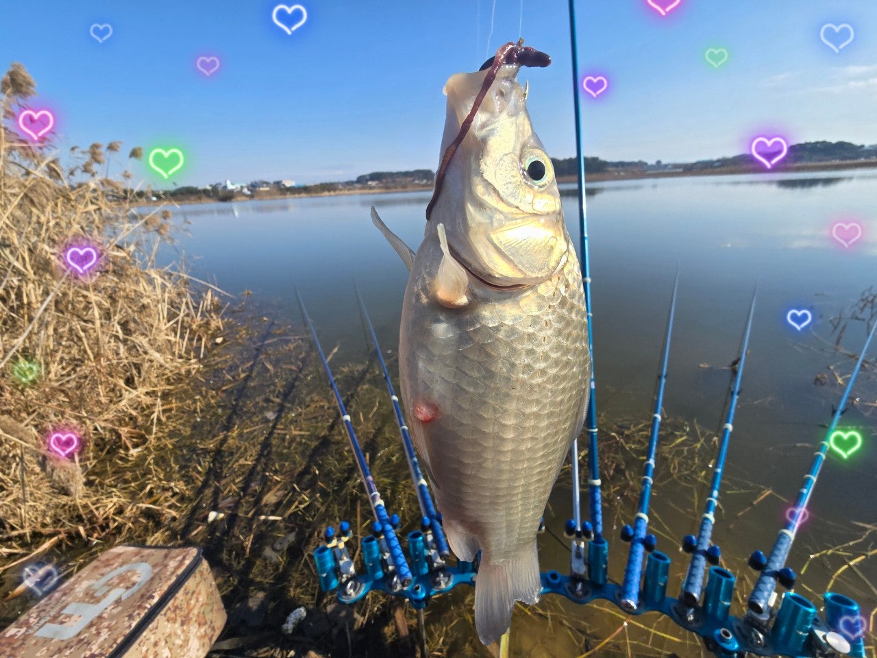 사용자가 올린 이미지