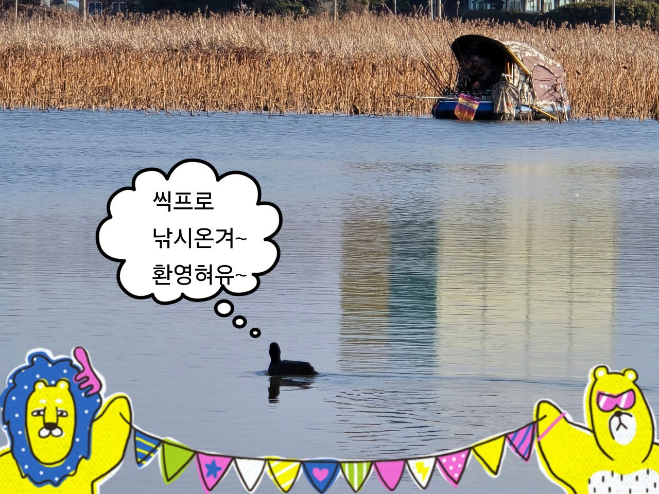 사용자가 올린 이미지