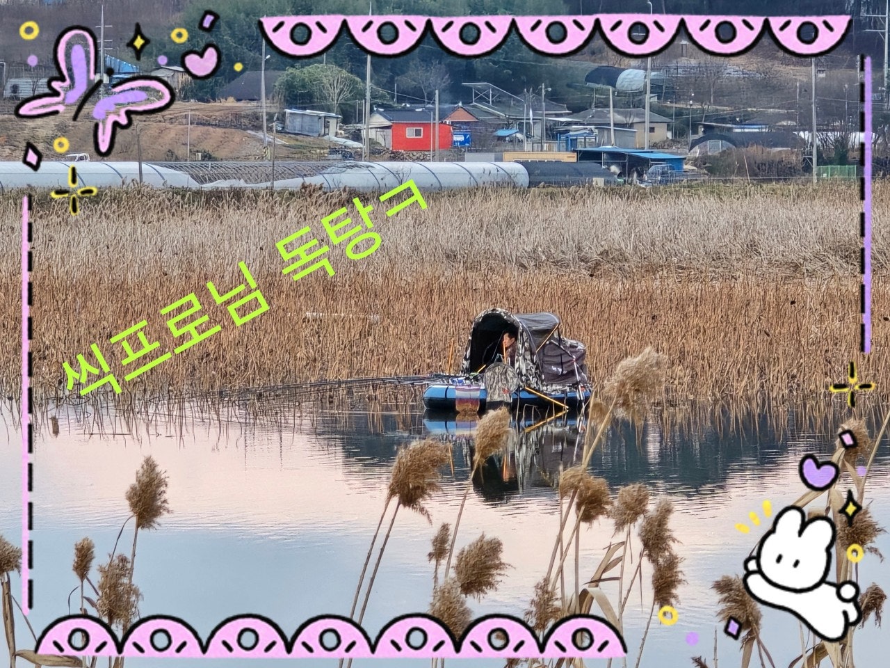 사용자가 올린 이미지