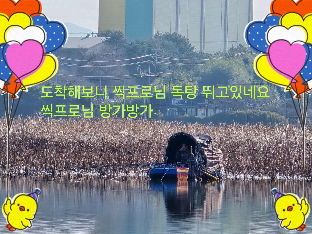 사용자가 올린 이미지