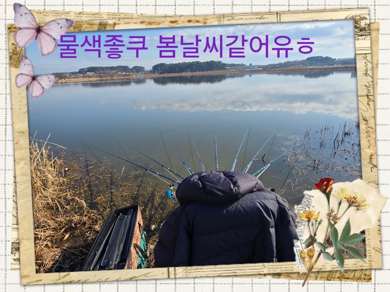 사용자가 올린 이미지