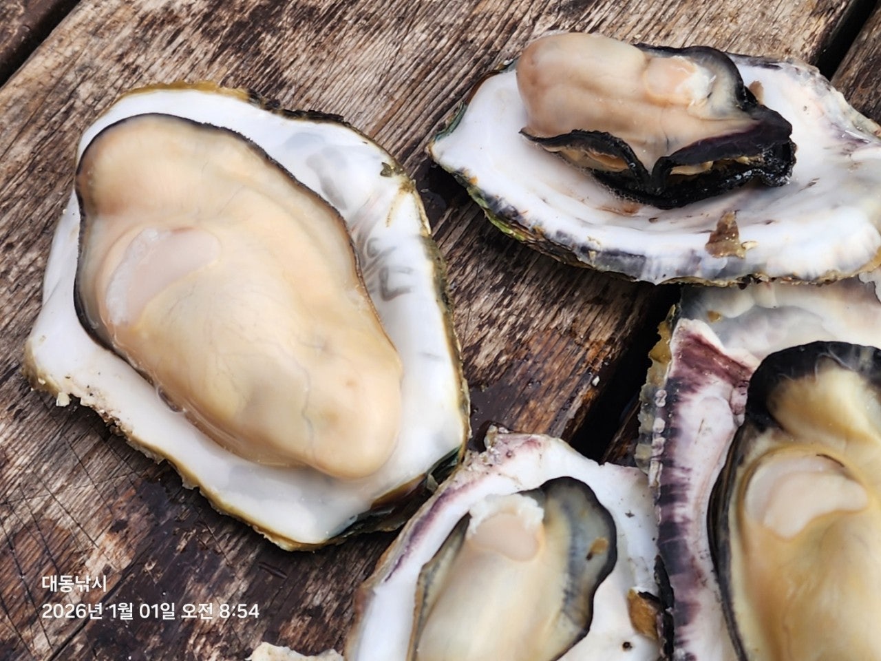 사용자가 올린 이미지