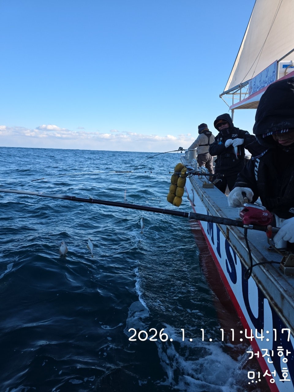 사용자가 올린 이미지