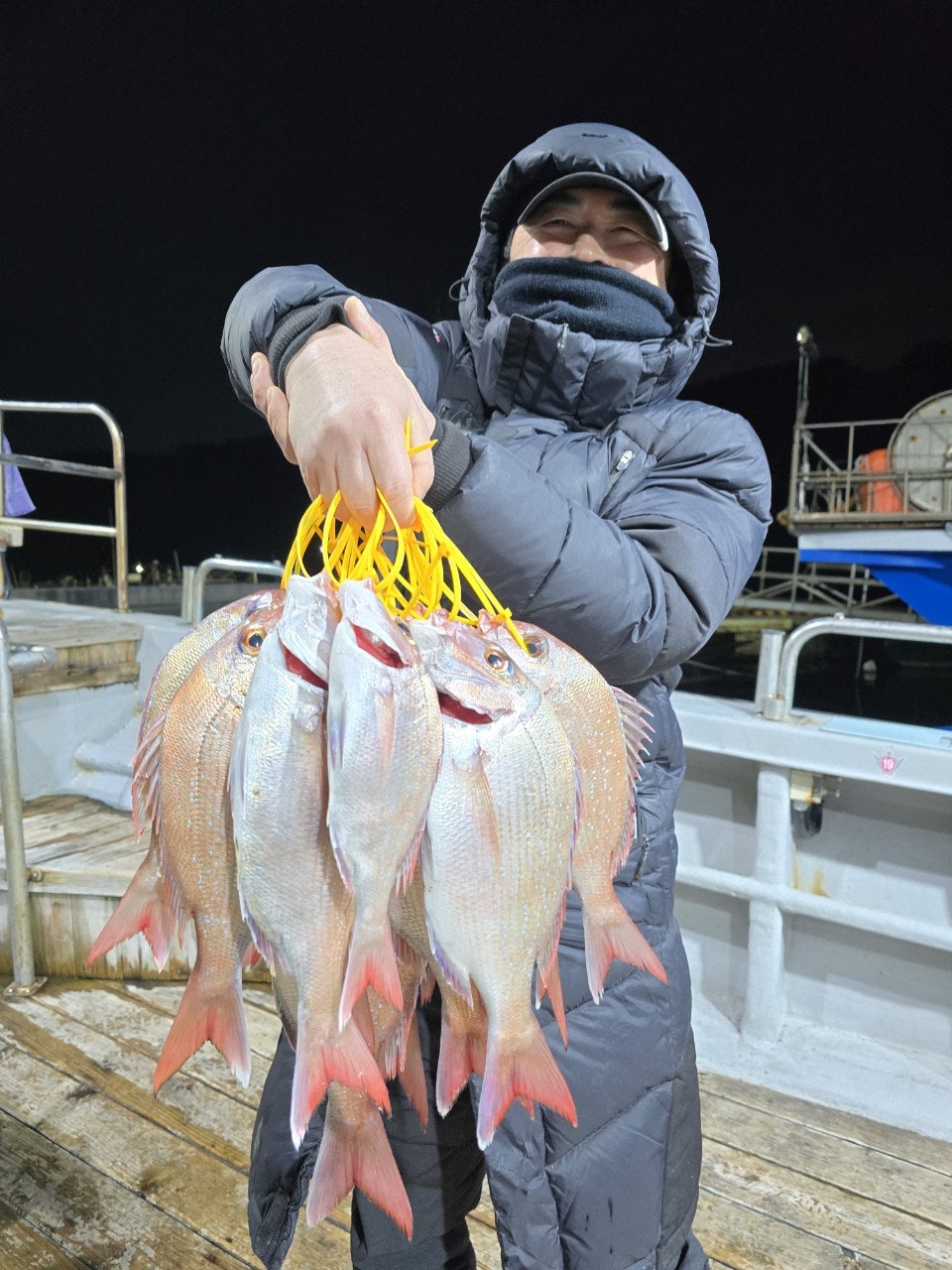 사용자가 올린 이미지