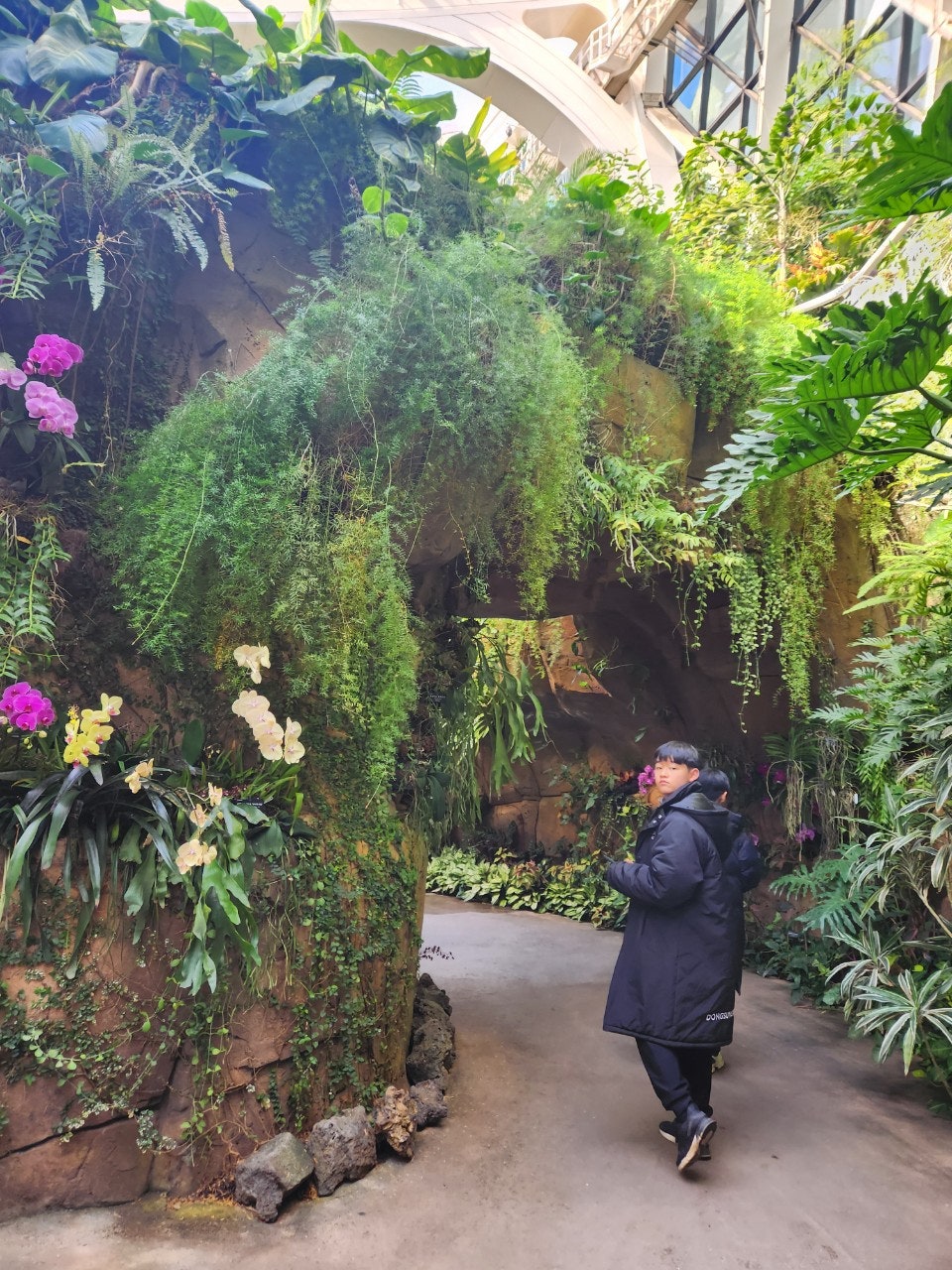 사용자가 올린 이미지