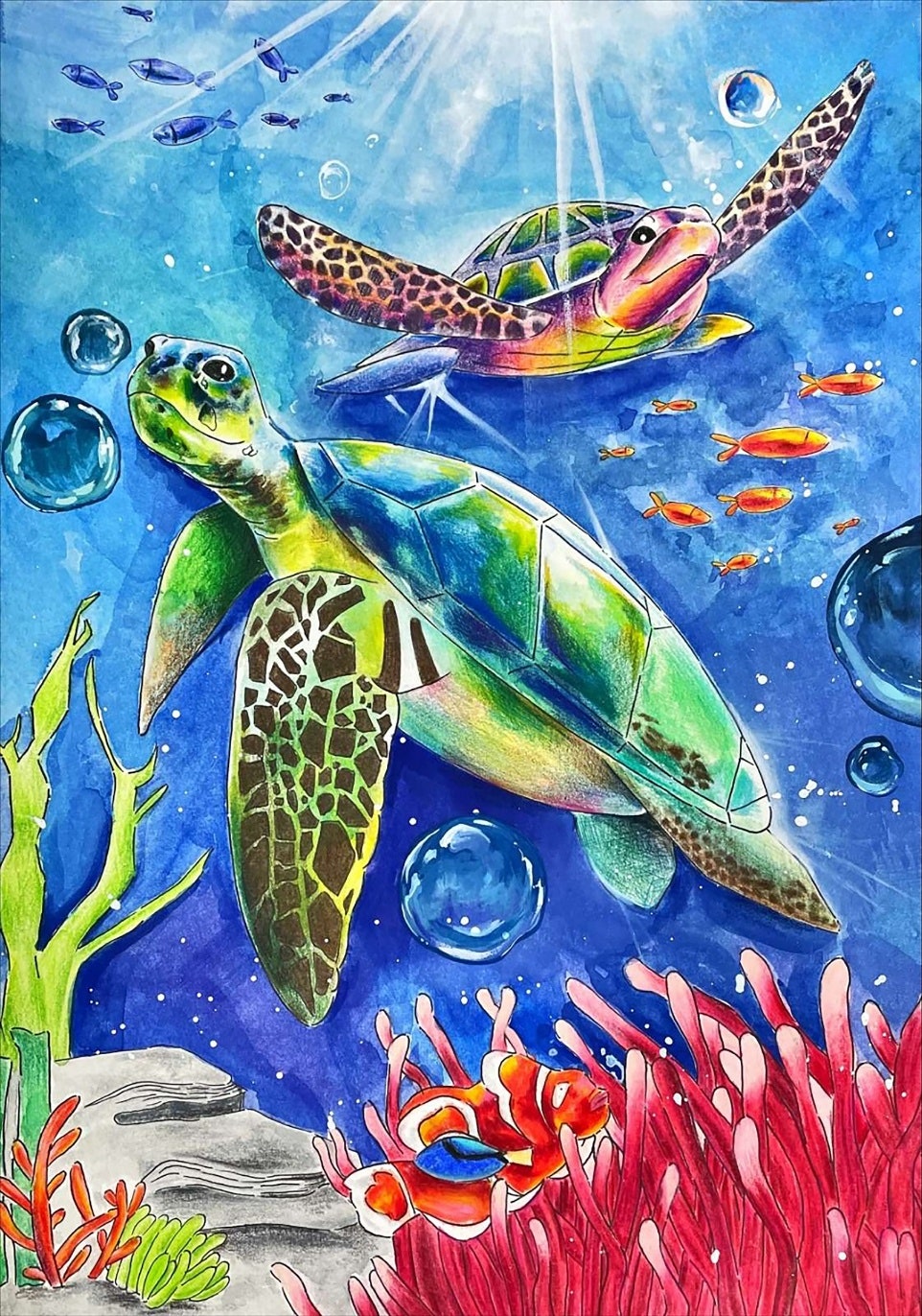 사용자가 올린 이미지