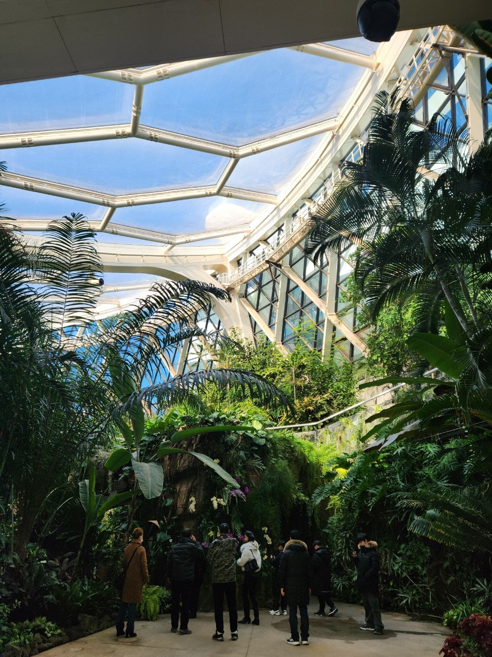 사용자가 올린 이미지