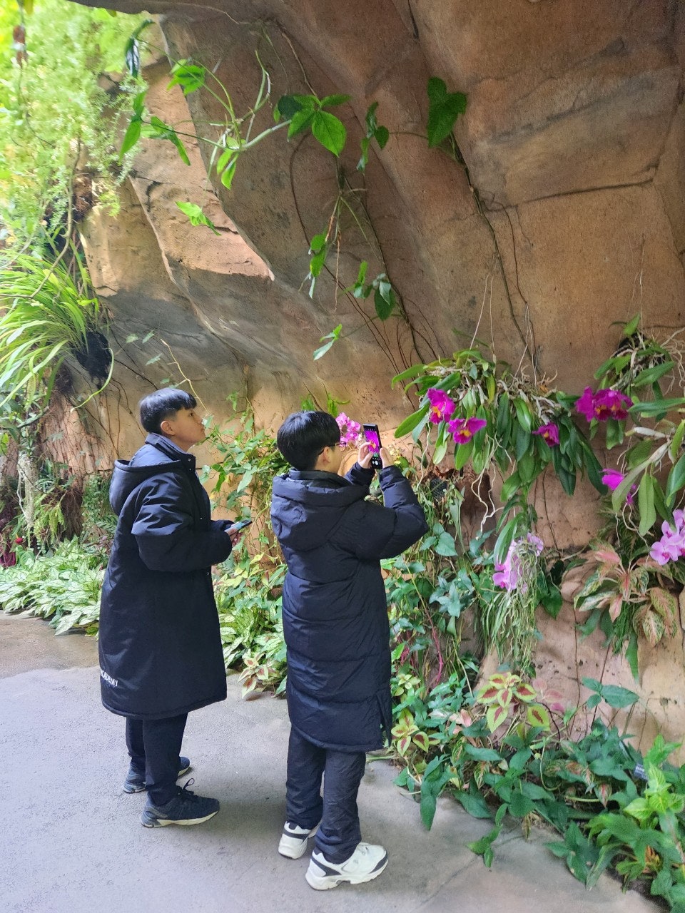 사용자가 올린 이미지