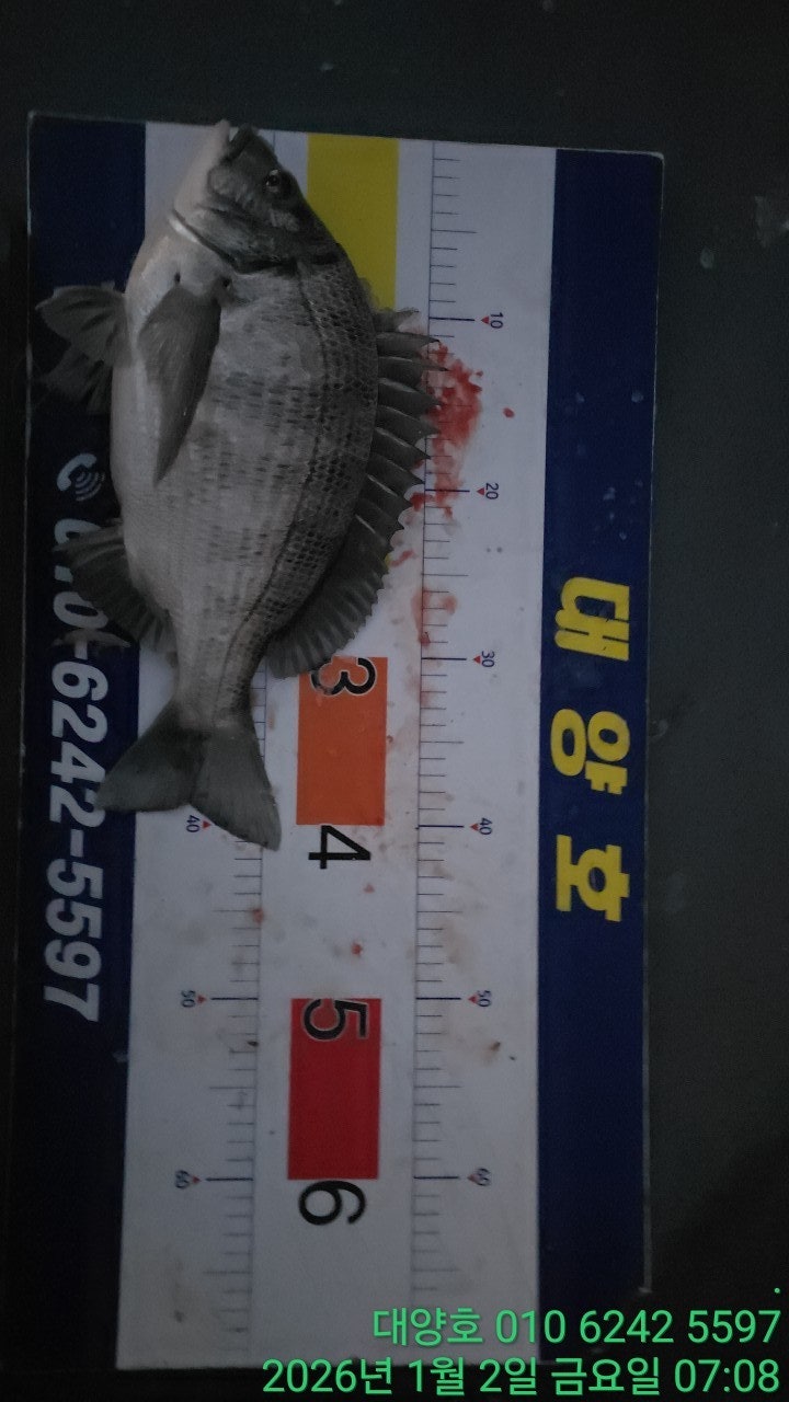 ����ڰ� �ø� �̹���