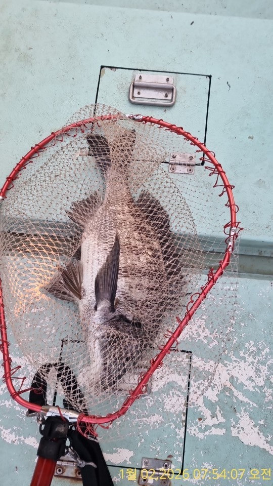 ����ڰ� �ø� �̹���