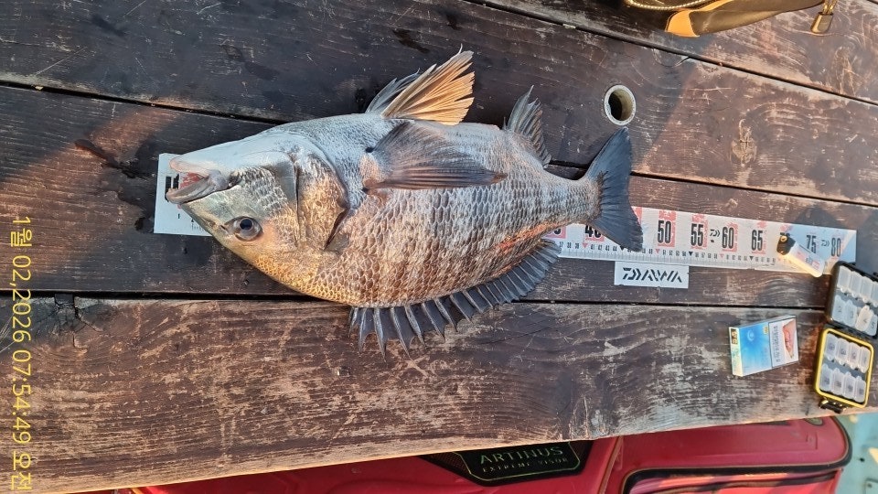 ����ڰ� �ø� �̹���