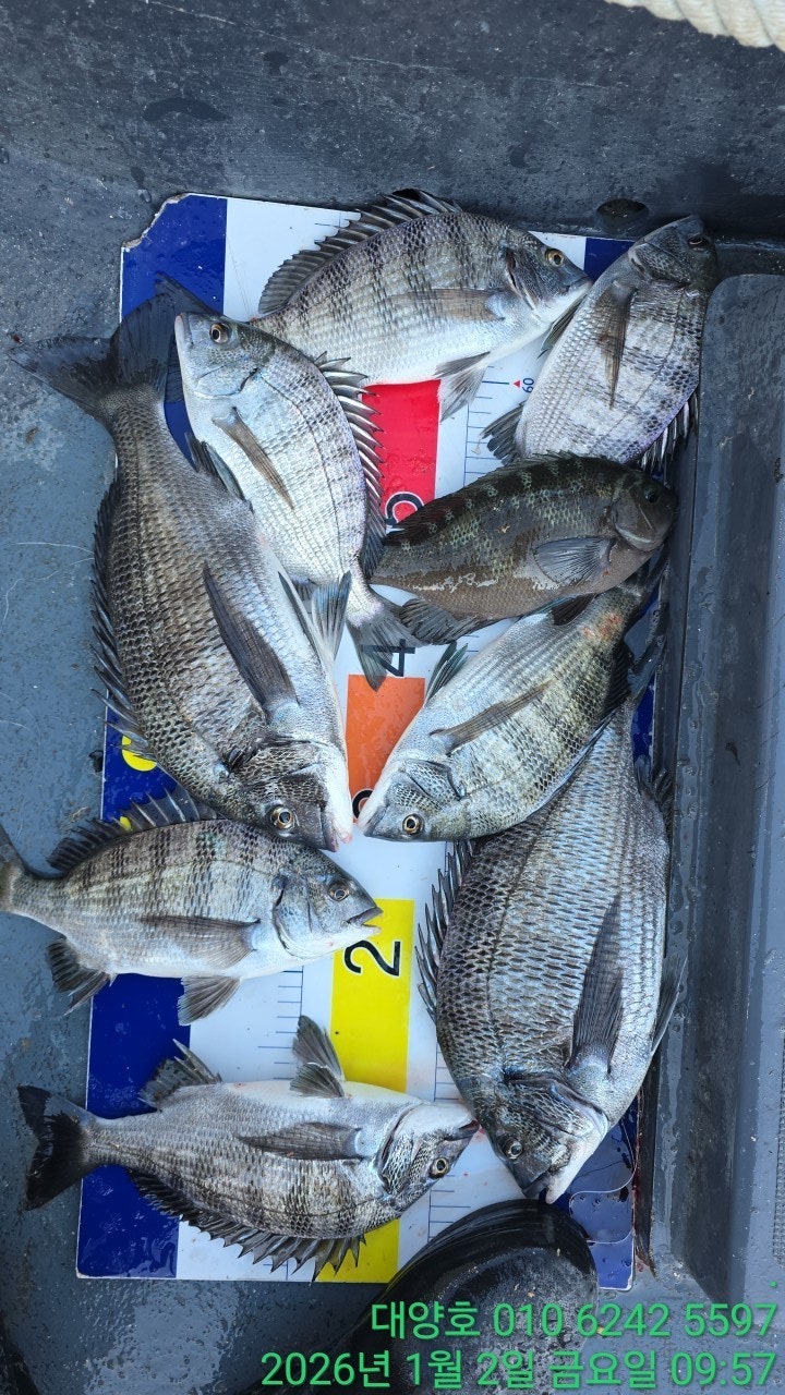 ����ڰ� �ø� �̹���