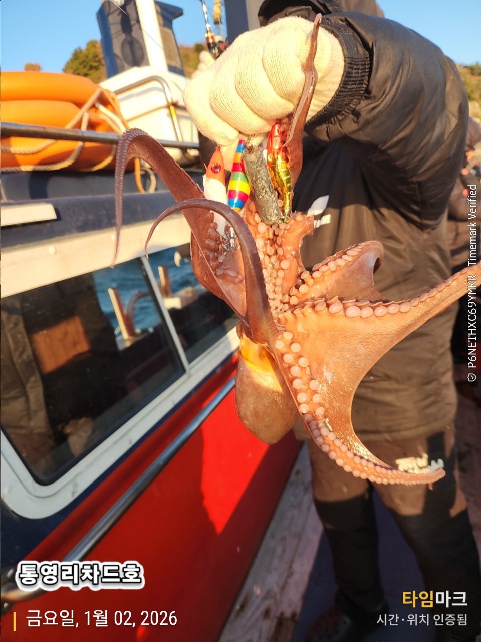 사용자가 올린 이미지