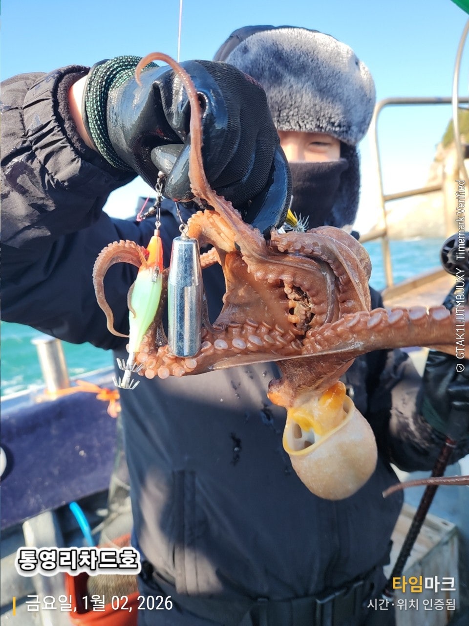 사용자가 올린 이미지