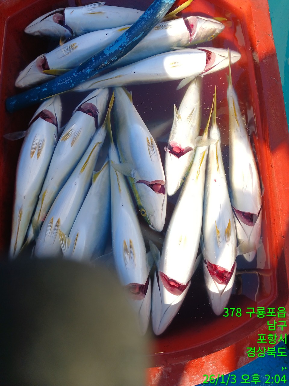 4_4j5Ud018svc3hp8c4x9a6k1_9bt2m0.jpg