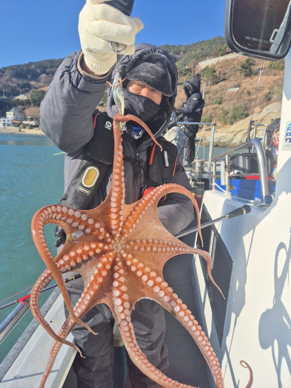 사용자가 올린 이미지