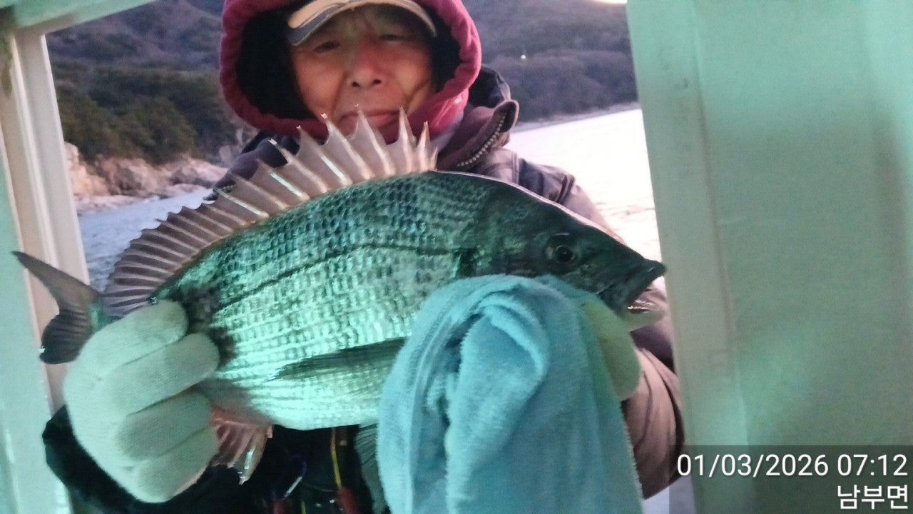 사용자가 올린 이미지