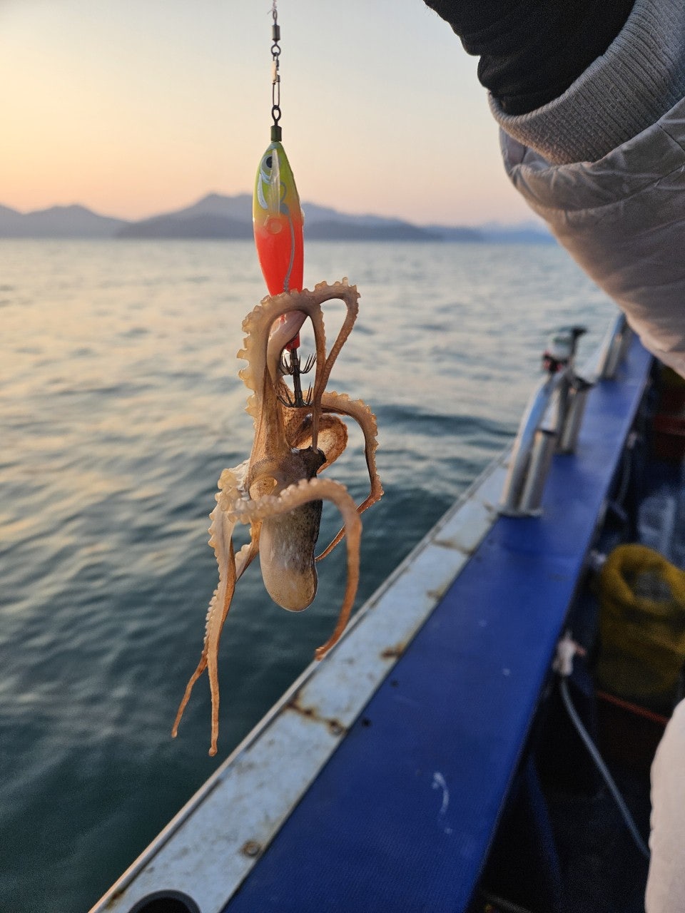 사용자가 올린 이미지