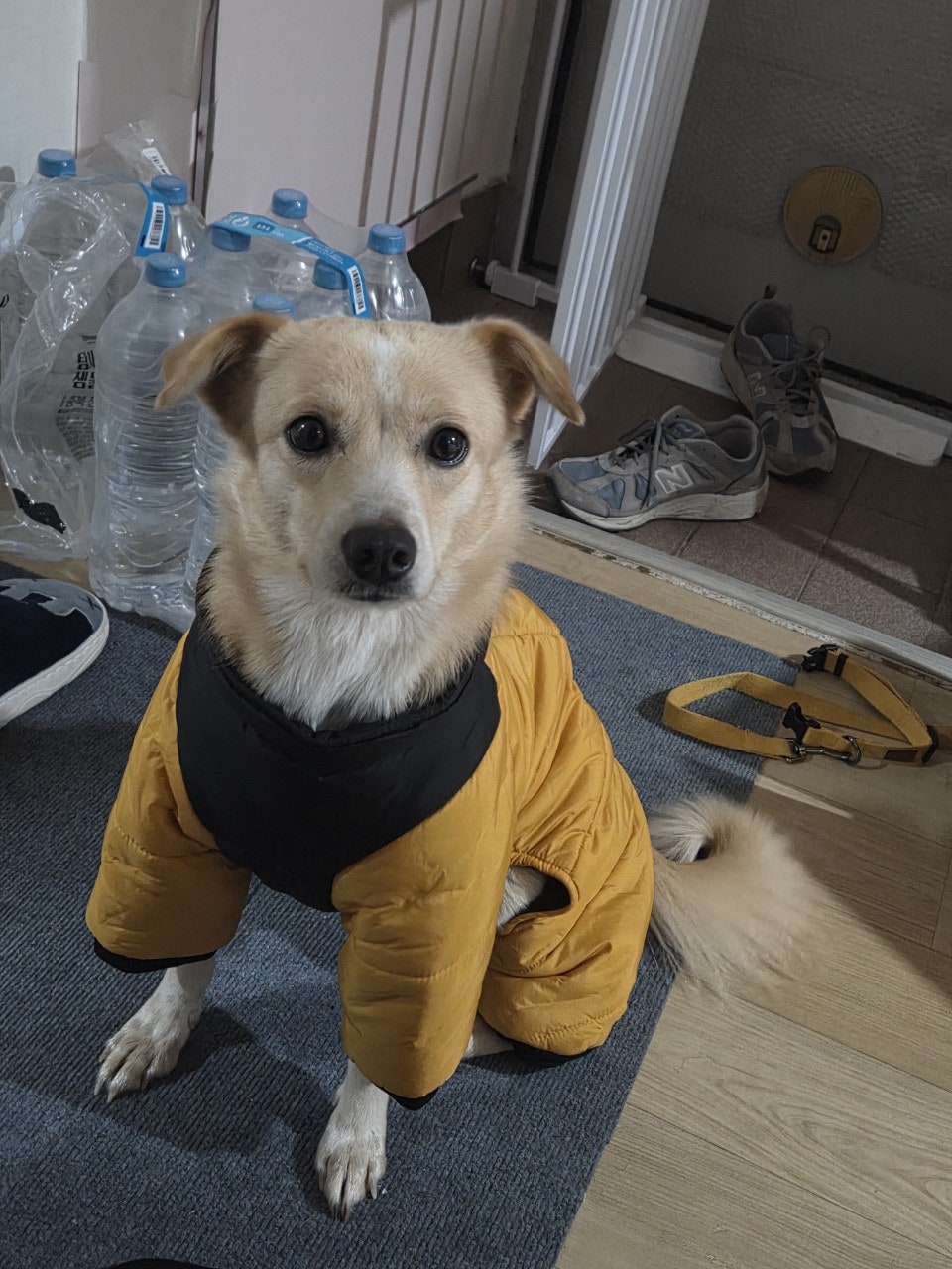 사용자가 올린 이미지