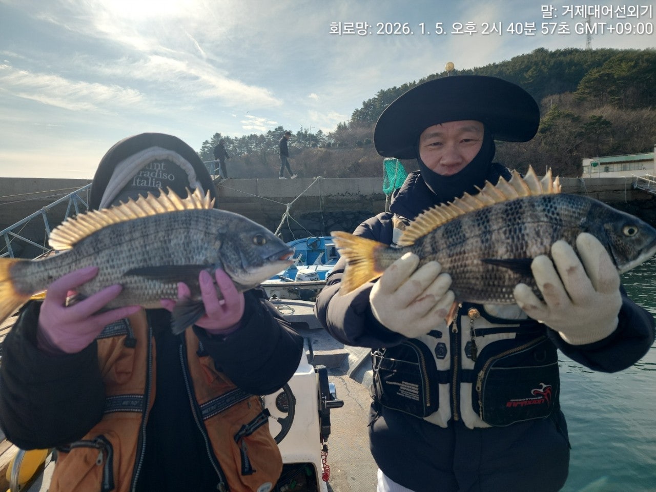 ����ڰ� �ø� �̹���