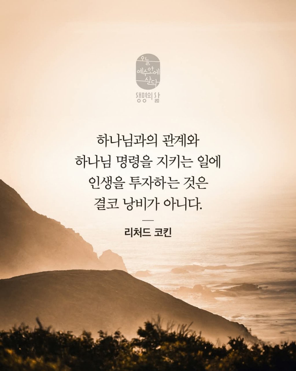 ����ڰ� �ø� �̹���