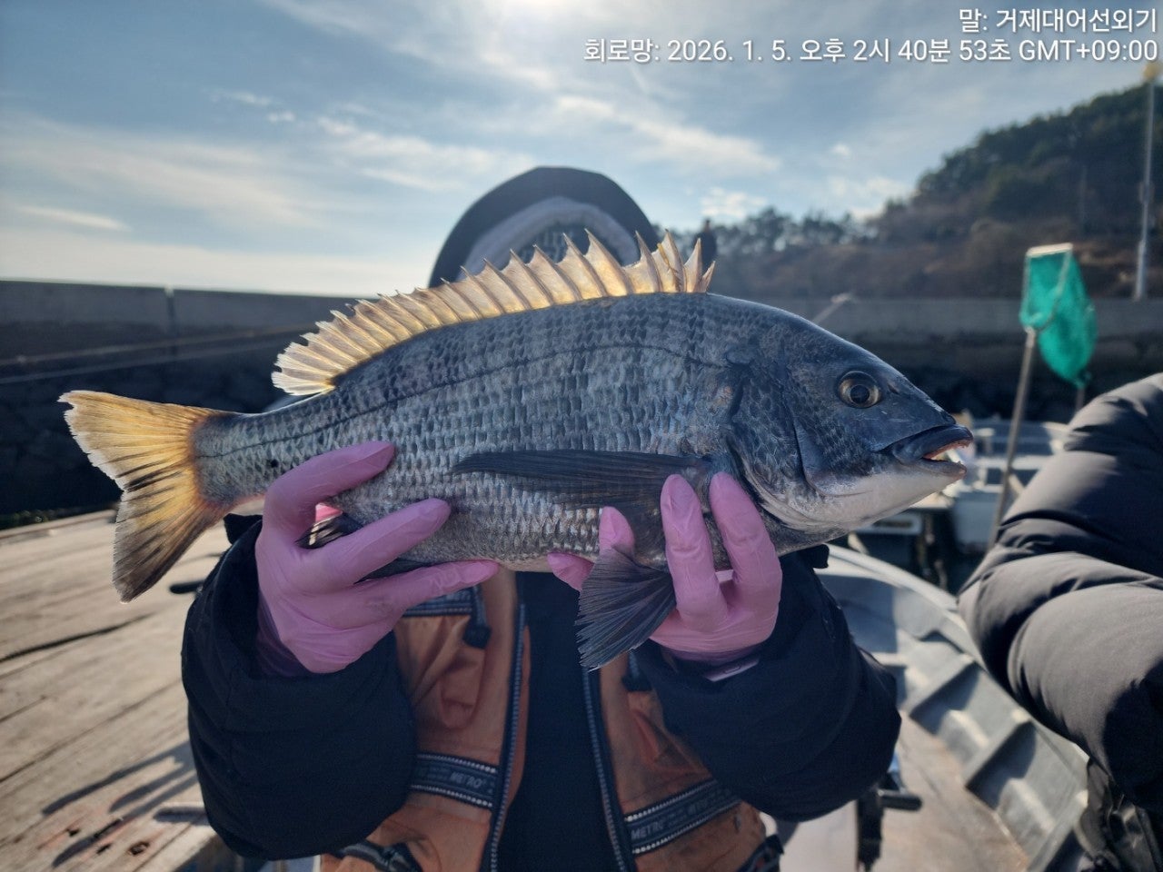 ����ڰ� �ø� �̹���