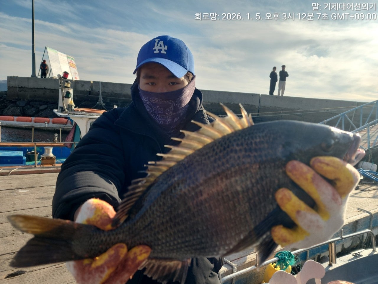 ����ڰ� �ø� �̹���