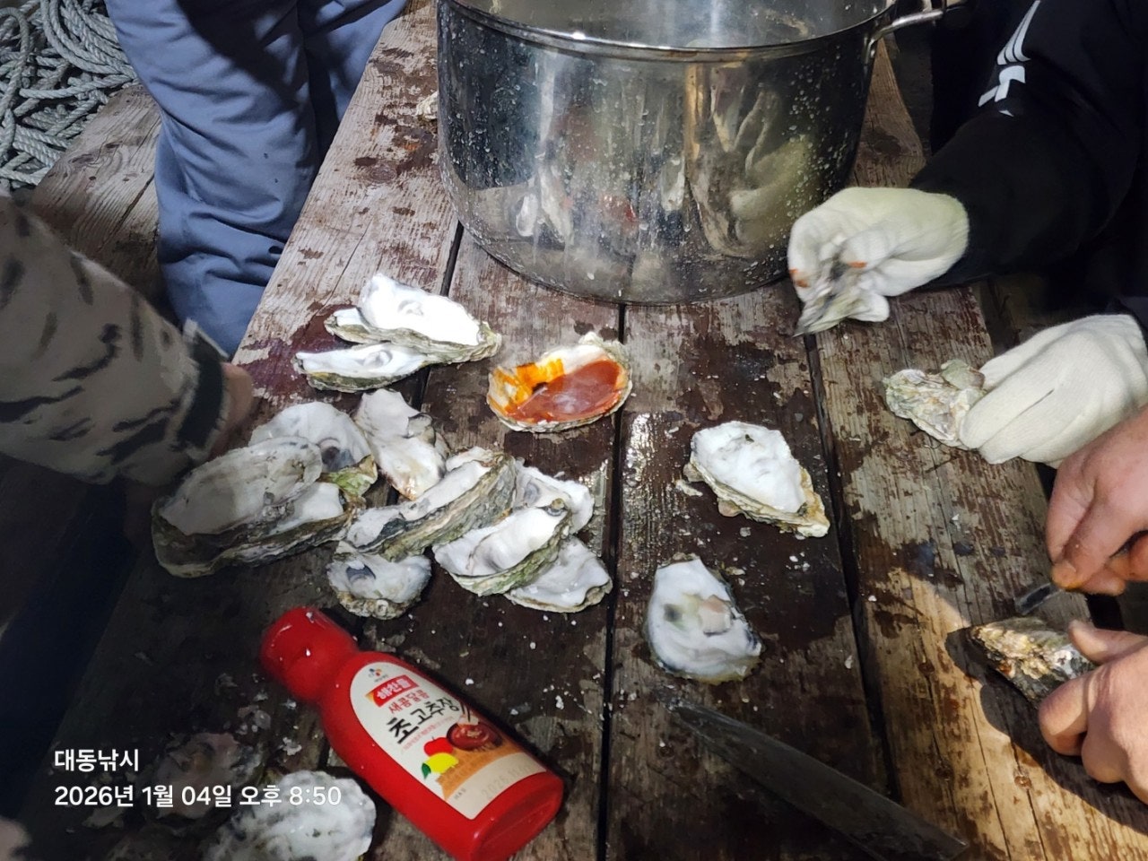 사용자가 올린 이미지